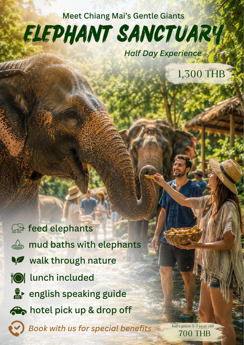 Elephant Sanctuary