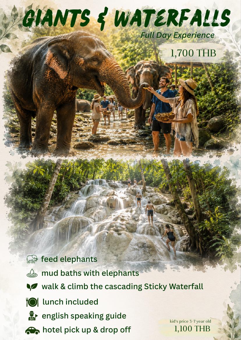 Elephants & Sticky Waterfall